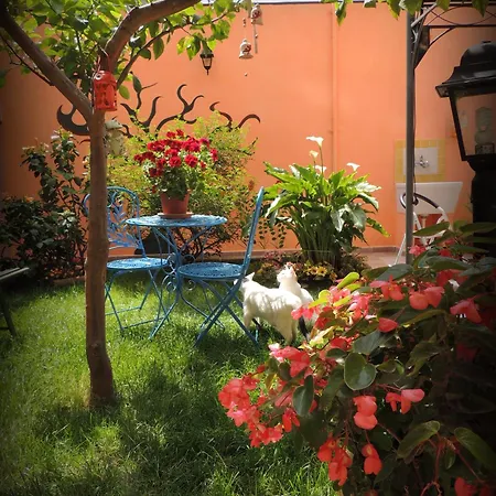 Bed & Breakfast My Little Garden *